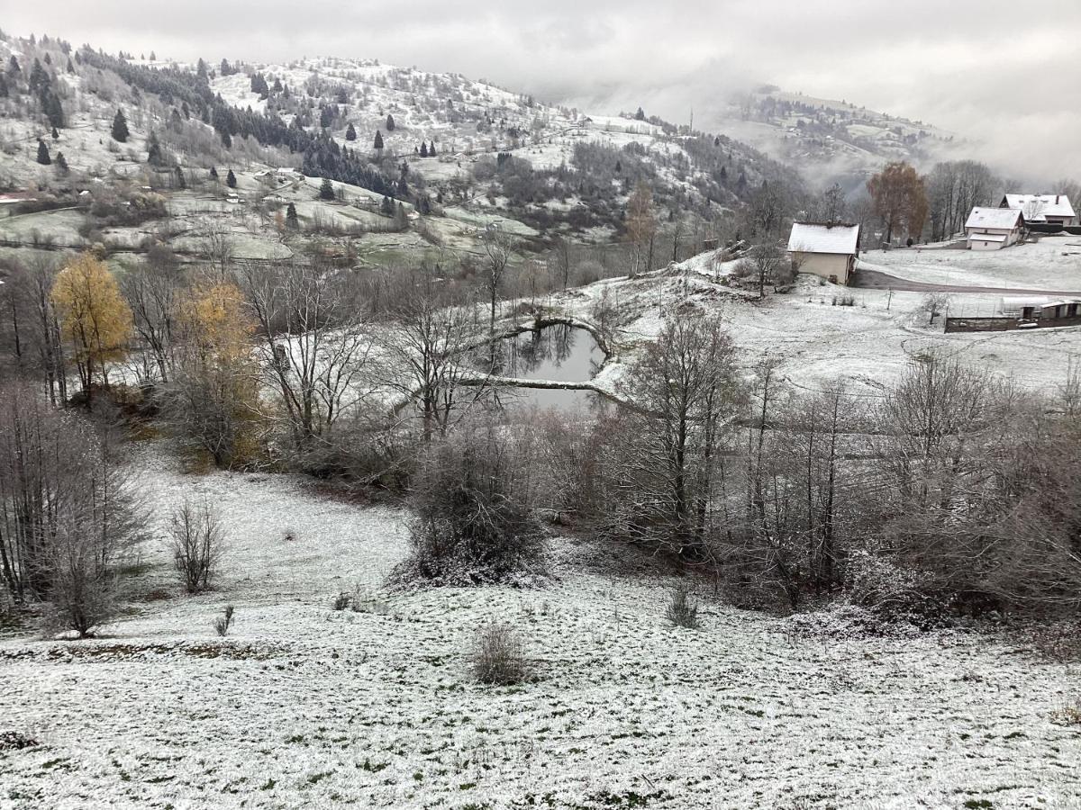 Les Chalets Bambi & Jacuzzi Privatif La Bresse Dış mekan fotoğraf