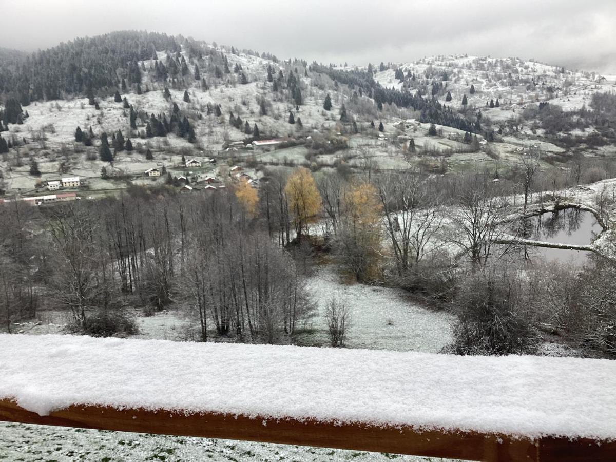 Les Chalets Bambi & Jacuzzi Privatif La Bresse Dış mekan fotoğraf