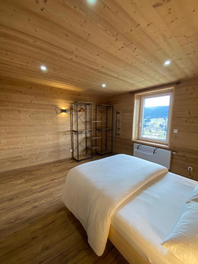 Les Chalets Bambi & Jacuzzi Privatif La Bresse Dış mekan fotoğraf