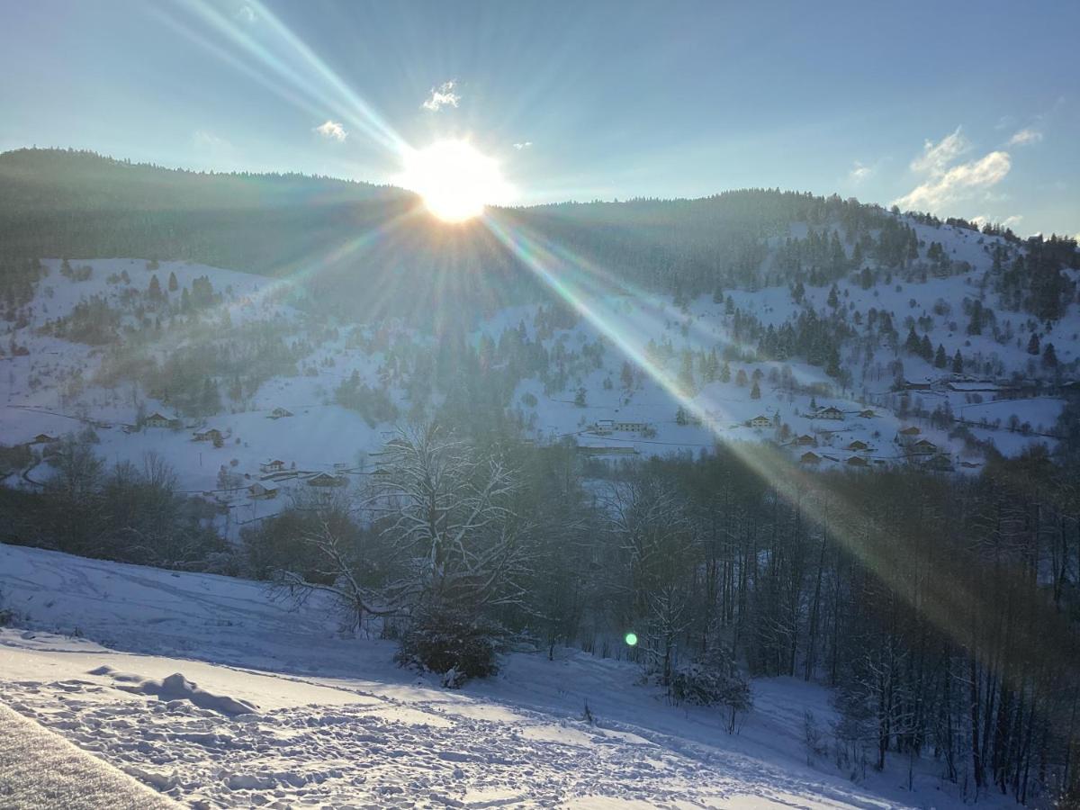 Les Chalets Bambi & Jacuzzi Privatif La Bresse Dış mekan fotoğraf